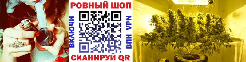 Где купить наркотики Александровское АМФЕТАМИН  КЕТАМИН  Гашиш  Конопля  Alpha PVP  Мефедрон 