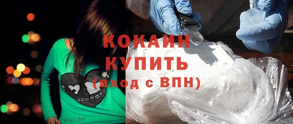 сатива Бородино