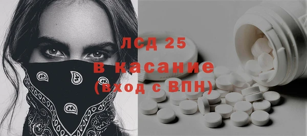 сатива Бородино