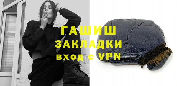сатива Бородино