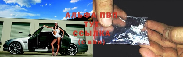 сатива Бородино
