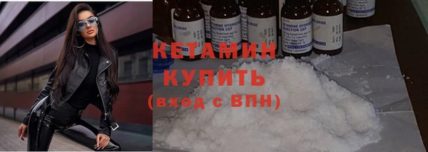 сатива Бородино