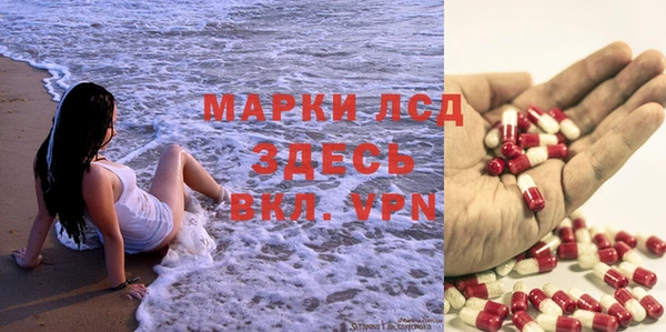сатива Бородино