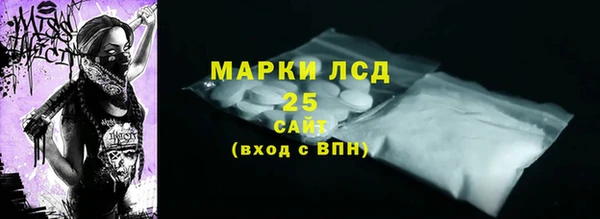 сатива Бородино