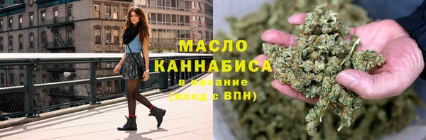 сатива Бородино