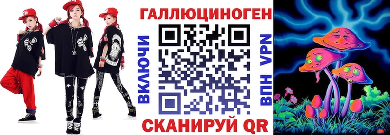 KRAKEN   Александровское  Псилоцибиновые грибы мицелий  купить  цена 